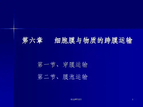 医学第六章细胞膜与物质的跨膜运输ppt课件