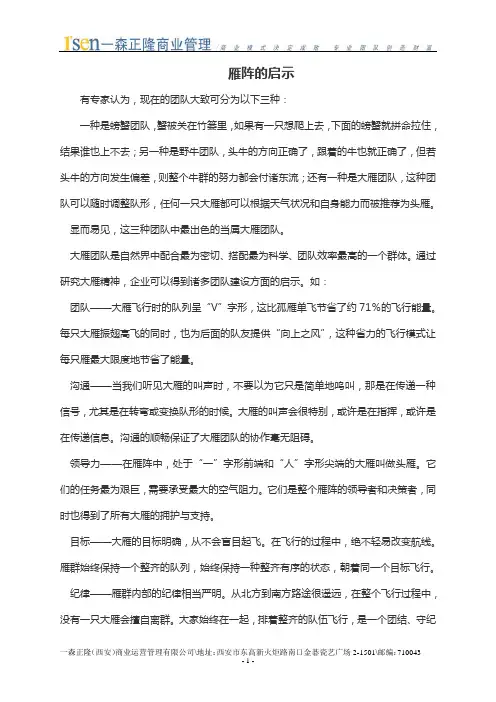 雁阵的启示