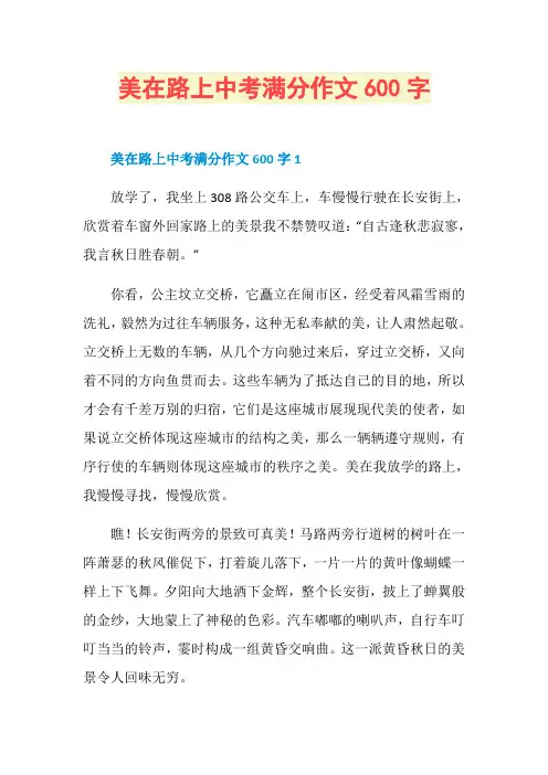 美在路上中考满分作文600字