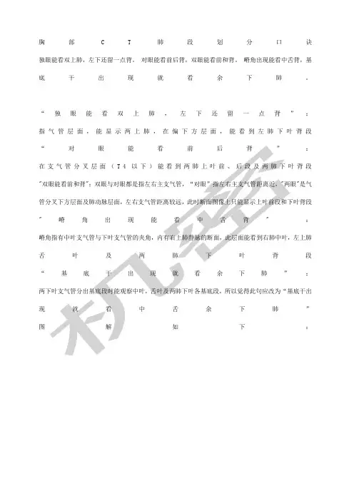 胸部CT肺段划分口诀