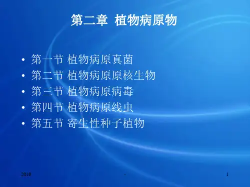 第二章植物病原物ppt课件