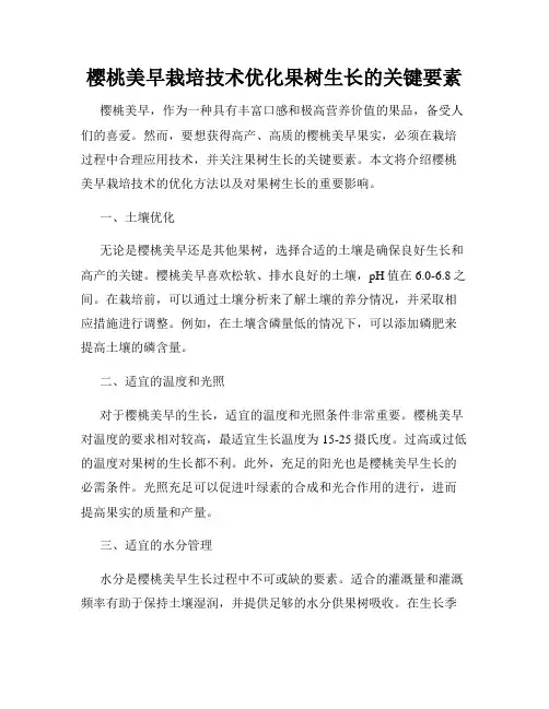 樱桃美早栽培技术优化果树生长的关键要素