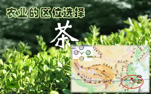 鲁教版高中地理必修二第三单元第1节《农业生产与地理环境》课件(共21张PPT)