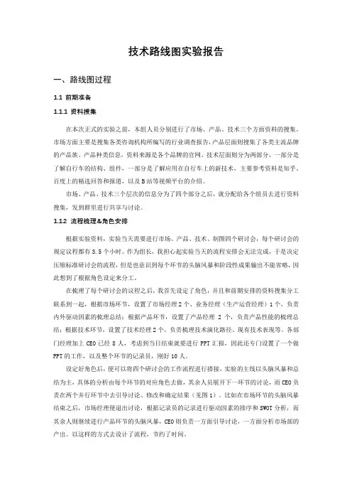 技术路线图实验报告