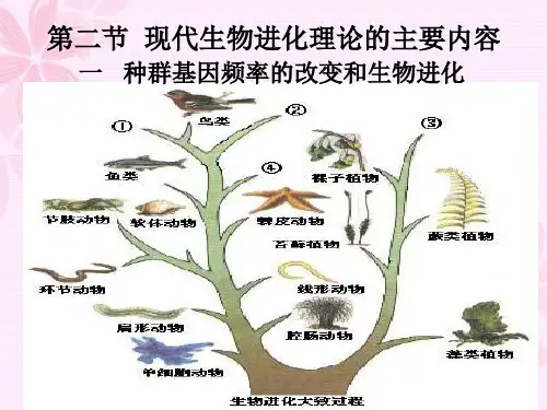 7.2现代生物进化理论的主要内容(公开课)