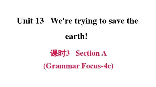 人教版PEP初中英语九年级下册优秀课件Uint13课时3SectionAGrammarFocus4c