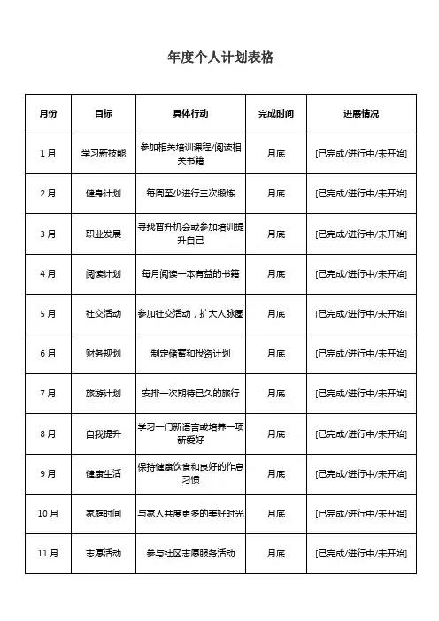 年度个人计划表格