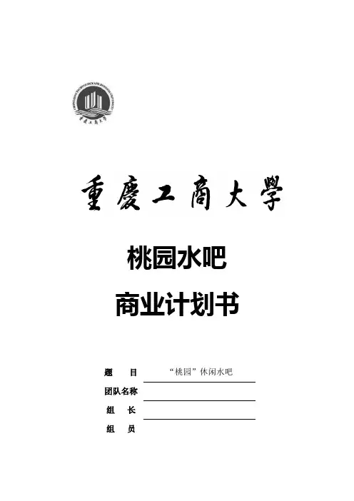 桃园水吧创业策划书