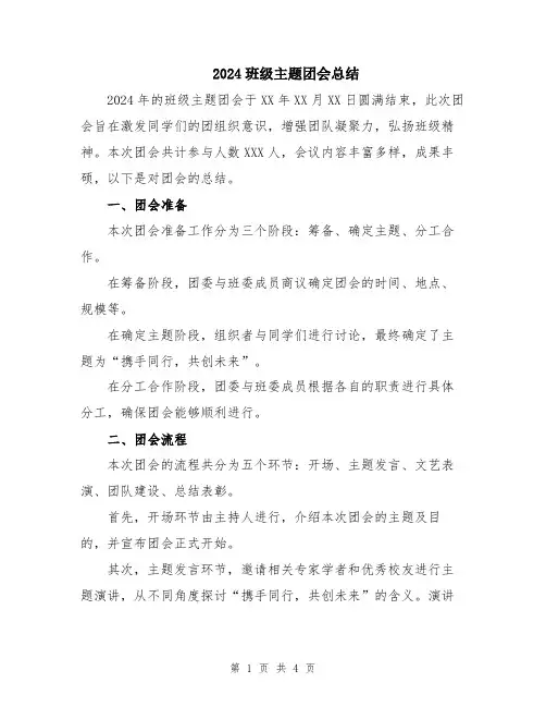 2024班级主题团会总结