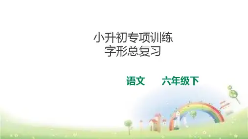 六年级下册语文课件 - 小升初总复习字形(同音字、形声字、形近字等)专项训练  全国通用 (共15张PPT)