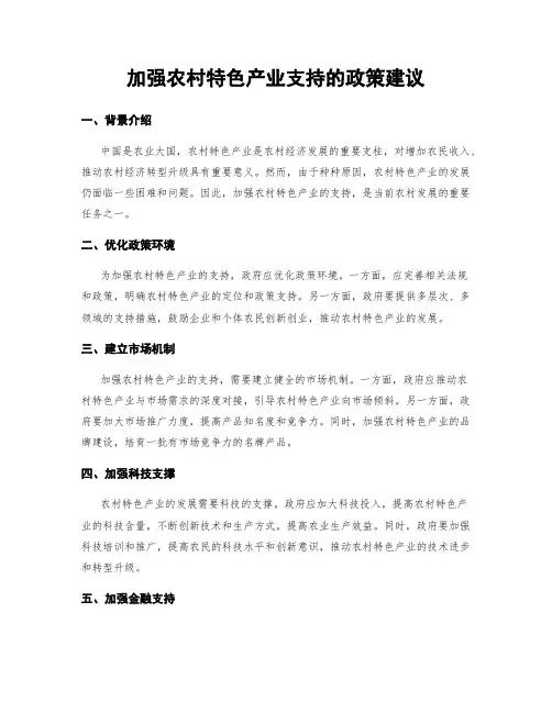 加强农村特色产业支持的政策建议