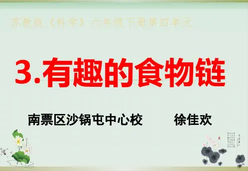六年级下册科学课件PPT：有趣的食物链 -苏教版2