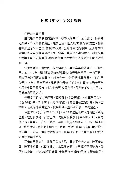 怀素《小草千字文》临解