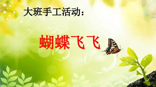 《蝴蝶飞飞》幼儿园大班手工PPT课件