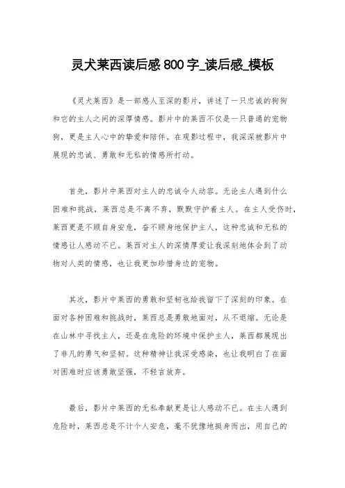 灵犬莱西读后感800字_读后感_模板