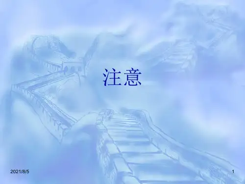 实验心理学第十讲 注意