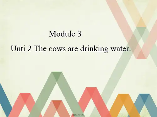 3-模块-Unit2--The-cows-are-drinking-water