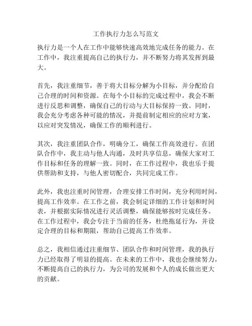 工作执行力怎么写范文