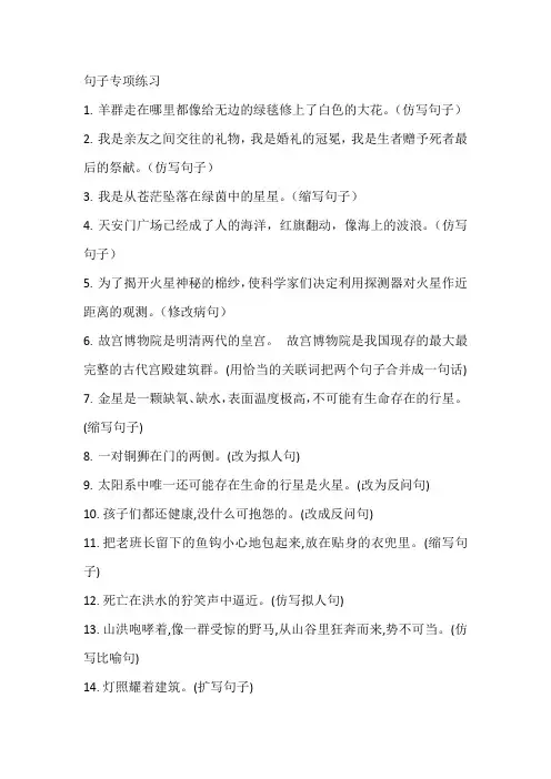 六年级上册语文句子专项练习