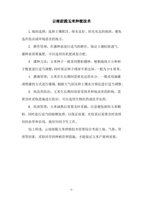 云南甜脆玉米种植技术