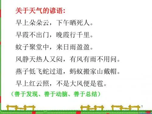 我的发现作文指导ppt课件