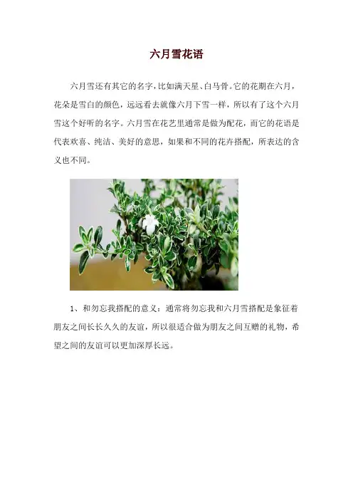 六月雪花语