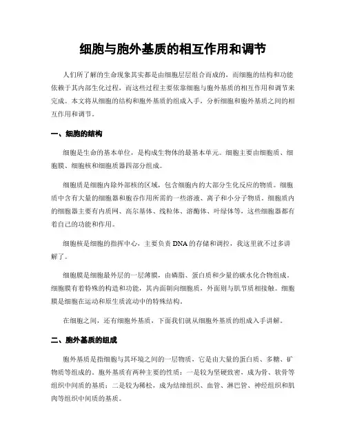 细胞与胞外基质的相互作用和调节