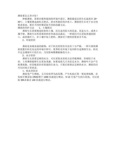 薄荷要怎么养才好？
