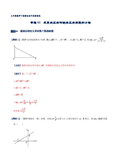 专题01 求直角三角形锐角三角函数的方法(解析版)