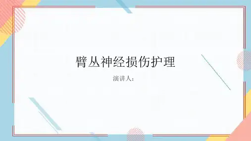 臂丛神经损伤护理PPT