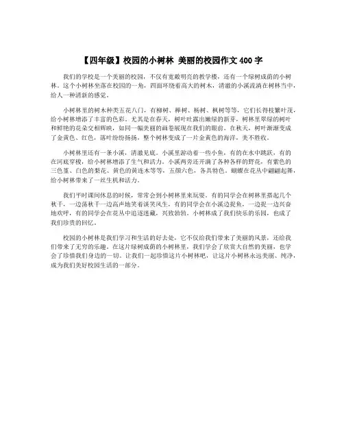 【四年级】校园的小树林 美丽的校园作文400字