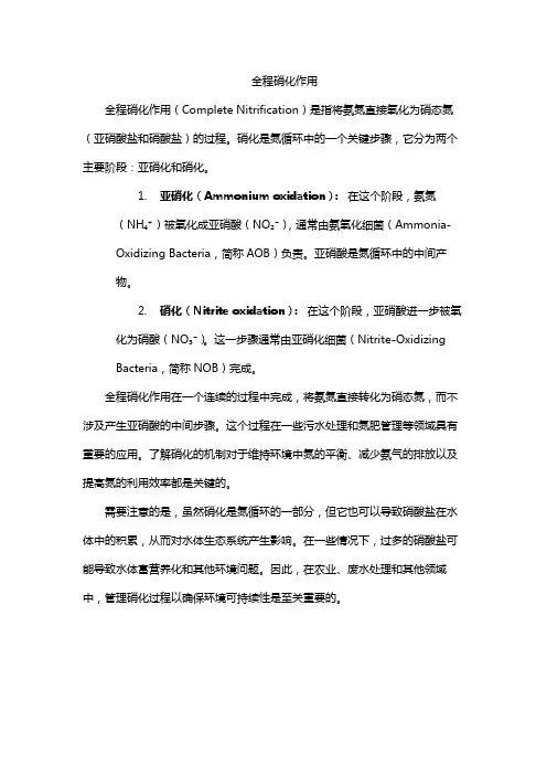 全程硝化作用