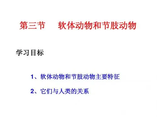 软体动物和节肢动物