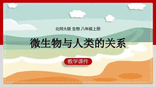 初中生物北师大版八年级上册《18.2微生物与人类的关系》课件