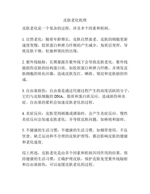 皮肤老化机理