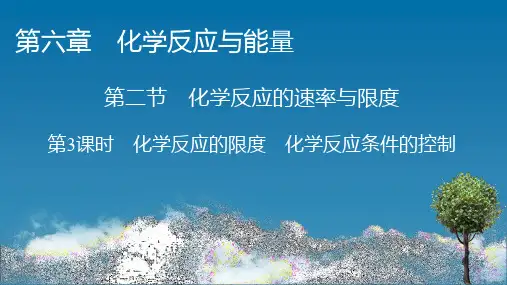 (新教材)2020-2021学年高中化学人教版必修第二册第6章 第2节 第3课时 化学反应的限度