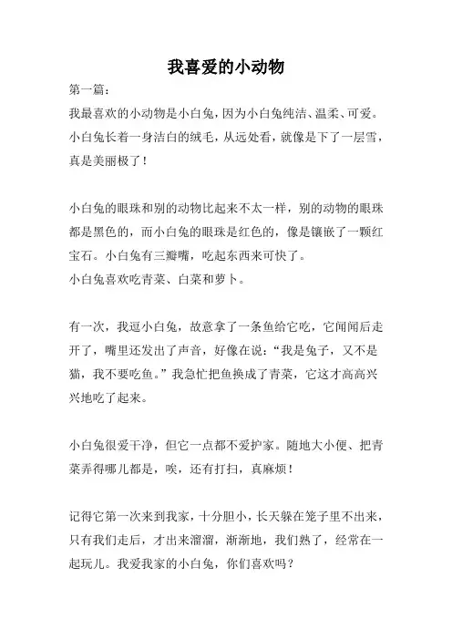 我喜爱的小动物400字左右作文