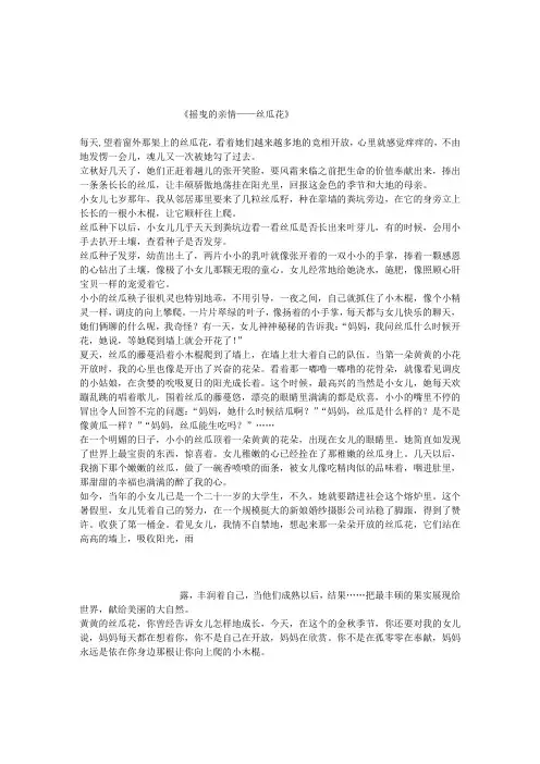 摇曳的亲情——丝瓜花