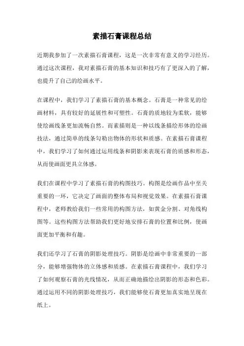 素描石膏课程总结