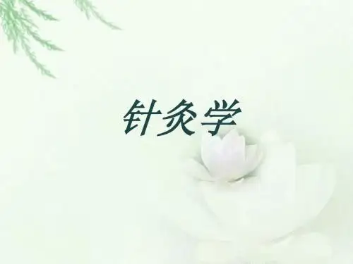 任脉