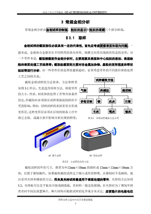 2019-分享教案-常规金相分析