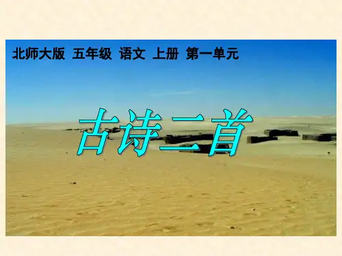 北师大版语文第九册《古诗二首》(房兵曹胡马 马诗)ppt课件1   大赛获奖精美课件PPT