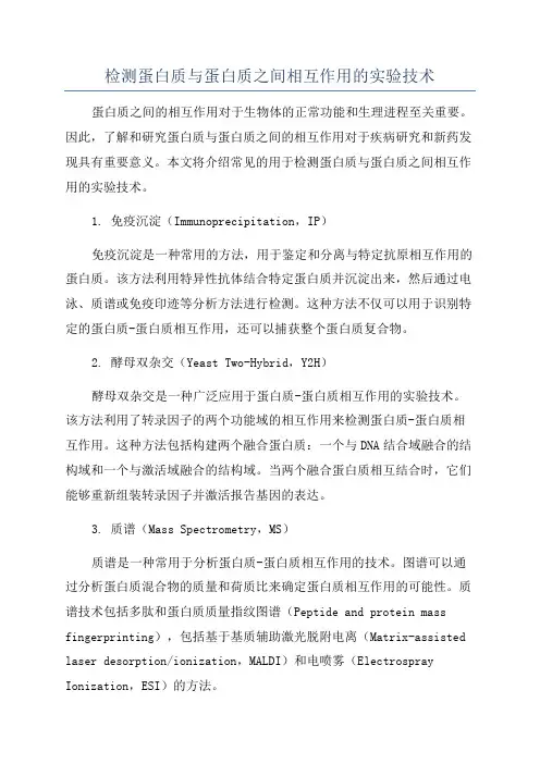 检测蛋白质与蛋白质之间相互作用的实验技术