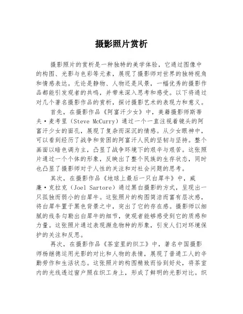 摄影照片赏析