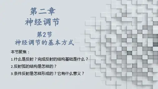 神经调节的基本方式课件高二上学期生物人教版选择性必修1(1)