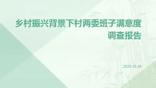 乡村振兴背景下村两委班子满意度调查报告