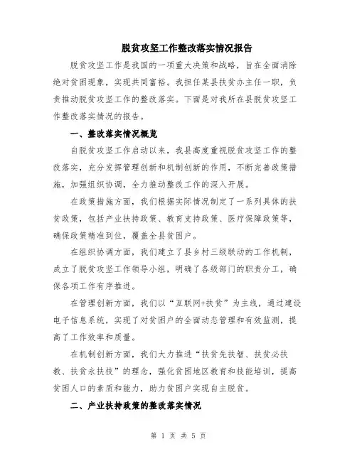 脱贫攻坚工作整改落实情况报告