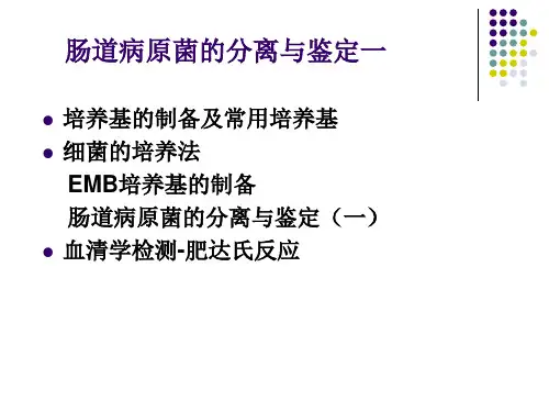 病原生物学实验课2-肠道病原菌的分离与鉴定1ppt-Po