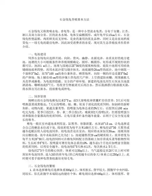 石金钱龟养殖基本方法
