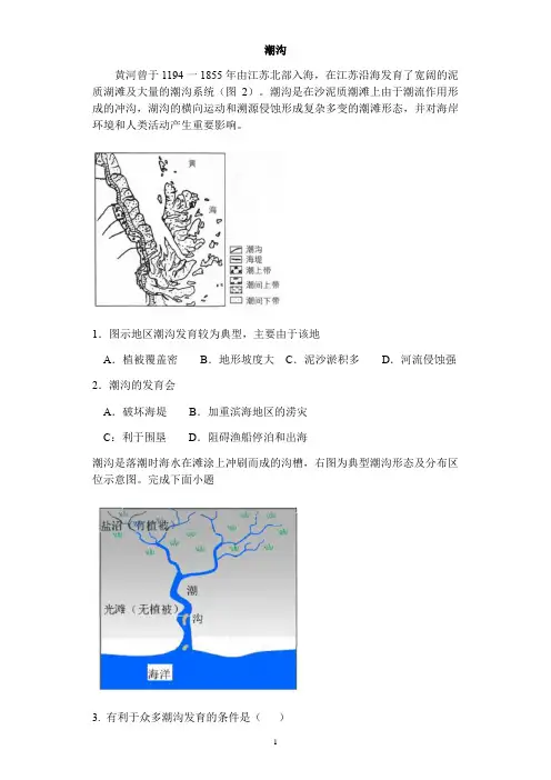 【2021届高考地理微专题】潮沟与海岸线含答案